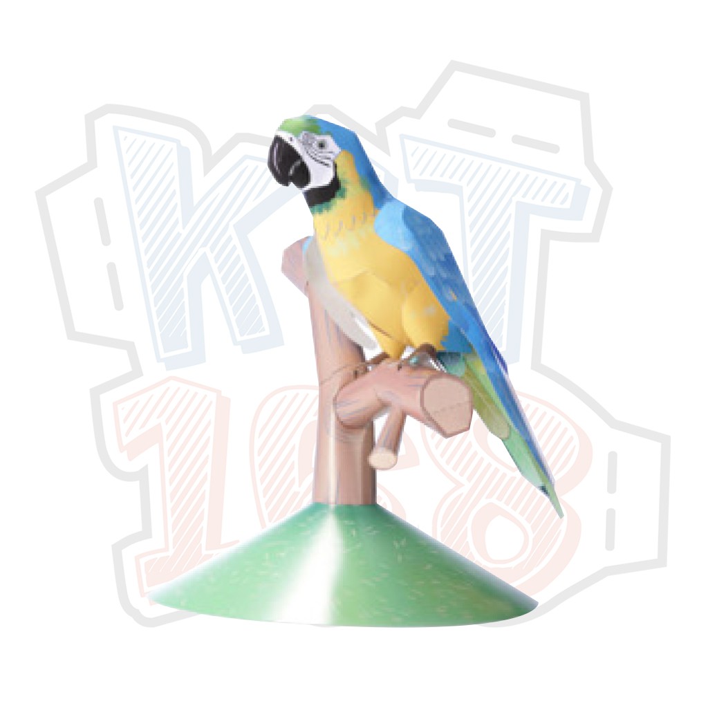 Mô hình giấy động vật chim Vẹt Macaw