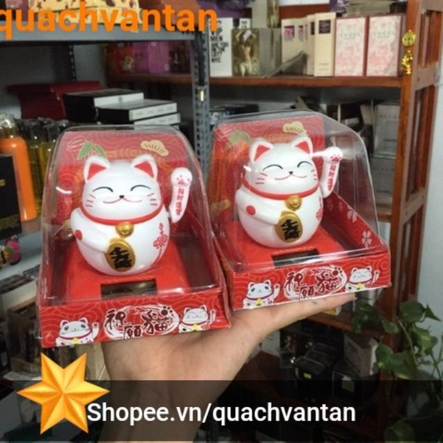 MÈO CHIÊU TÀI THU TIỀN BẠC , TÀI LỘC