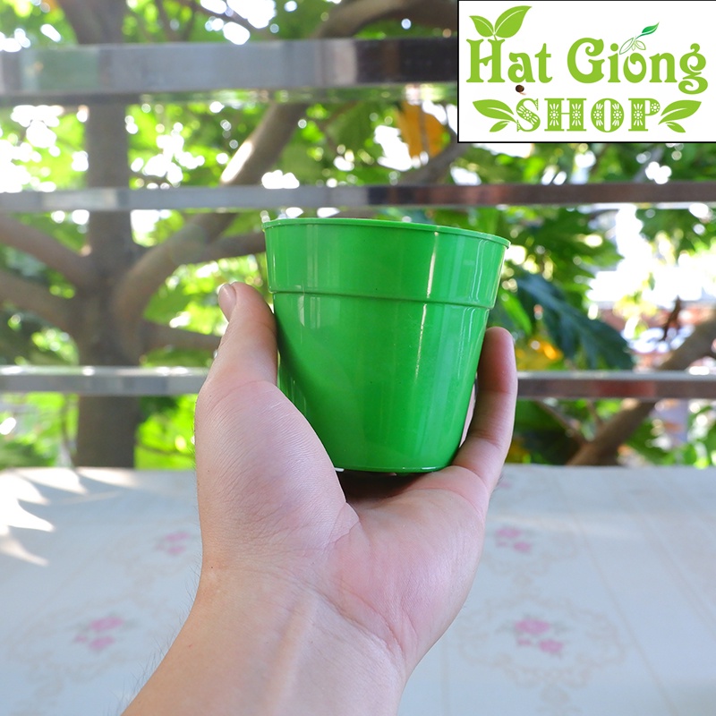 Chậu cây mini đang yêu - 9x8