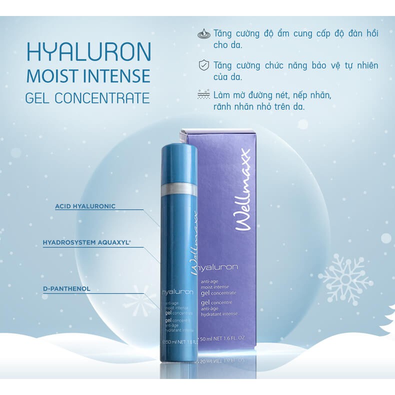 Gel dưỡng ẩm phục hồi Wellmaxx Hyaluron Moist Intense Gel Concentrate