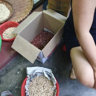 BẮP NẾP BUNG GIA LAI