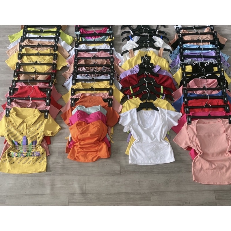 LÔ ÁO KIỂU BOZIP THUN GÂN