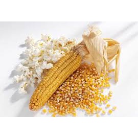 Ngô Mỹ nổ bỏng 500g