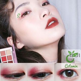 Phấn mắt 10 màu LAMEILA 3585