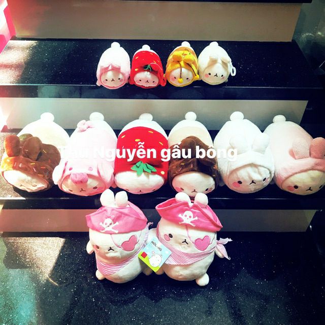 Gấu bông molang,thỏ bông molang đáng yêu nhiều mẫu