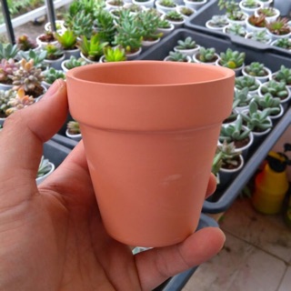 Chậu đất nung giá rẻ