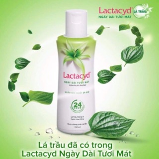 DUNG DỊCH VỆ SINH LACTACYD TRẦU KHÔNG
