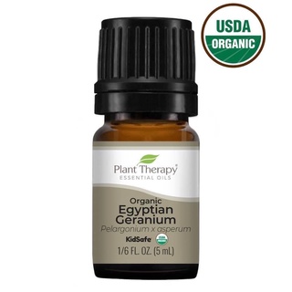 Tinh dầu phong lữ hữu cơ plant therapy chính hãng mỹ