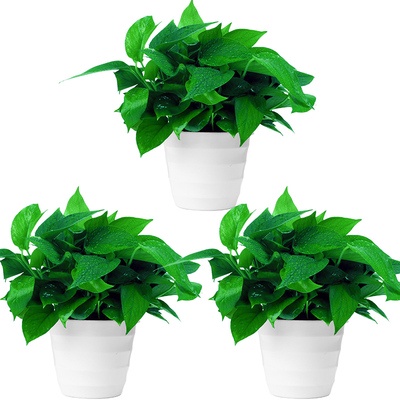 1 nhánh lá khuynh diệp nhân tạo bằng nhựa trang trí nhà cửa