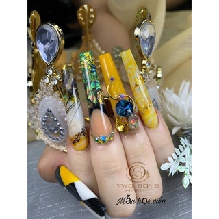 Bột đắp màu ombre và lì bột nails 5 in 1