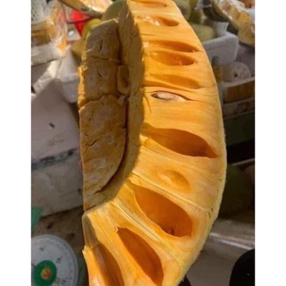 1 trái ( 8-12 kg) mít thái siêu sớm