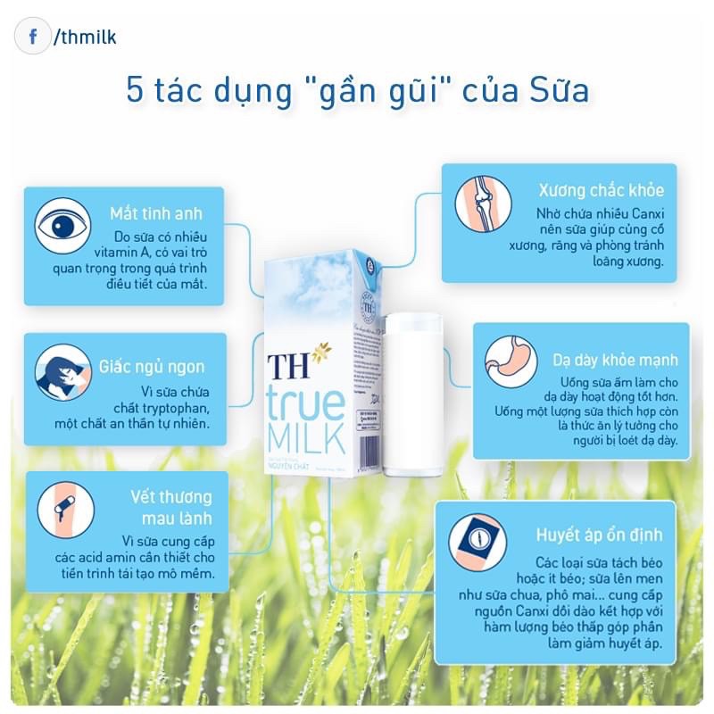 Thùng sữa TH các vị không đường/có đường/ít đường loại hộp 180ml