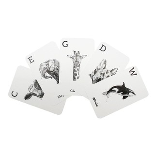 Bộ 46 thẻ học ANIMAL 4D cho bé - SPACE 4D
