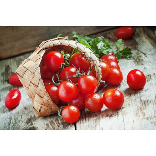 Tương Cà Chua Ketchup Life 330g