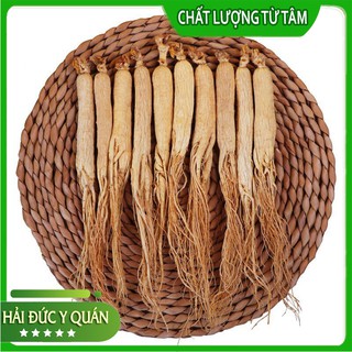 Nhân Sâm Cát Lâm [ Bạch Sâm ] Size To, Đẹp, Thơm
