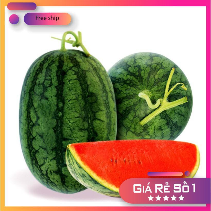 Hạt giống Dưa hấu (0,5g) (MV)