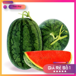 Hạt giống Dưa hấu