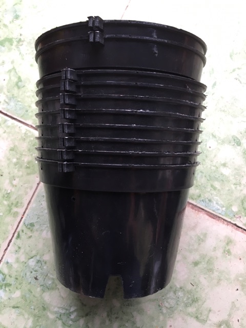 Combo 20 chậu bít đường kính 18 cm