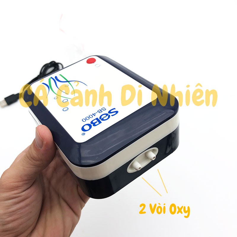 Máy sục sủi khí oxy TÍCH ĐIỆN 2 vòi SOBO SB-4000 cho hồ cá SB4000