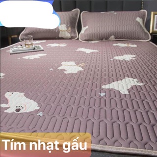 [ SALE SỐC RẺ VÔ ĐỊCH] CHIẾU ĐIỀU HOÀ TENCEL MỦ CAO SU NON