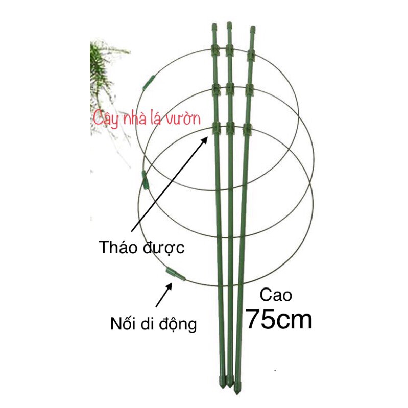 Khung đỡ trồng hoa hồng dây leo 75cm/90cm