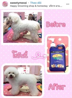 SỮA TẮM PLUSH PUPPY 500ml