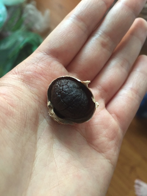 [RẺ VÔ ĐỊCH] 500gram Tỏi đen 1 nhánh công nghệ Nhật Bản | BigBuy360 - bigbuy360.vn