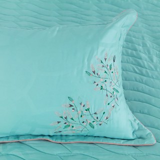 Bộ chăn drap Edena ED712