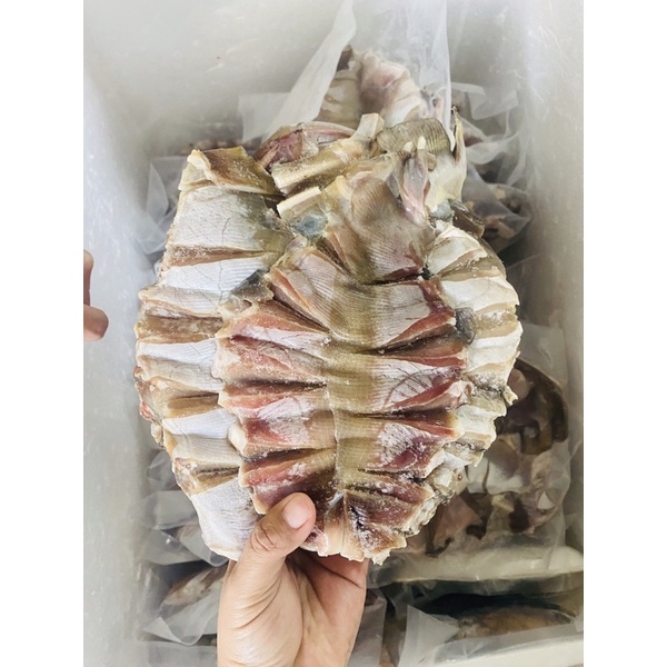 Giá Sỉ 1Kg Cá Đuối 1 Nắng