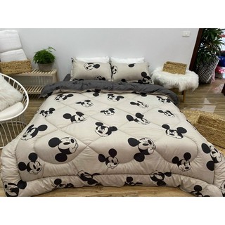set chăn phao poly nhập mới nhất