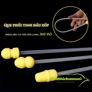 100 Que phối tinh đầu xốp cho heo