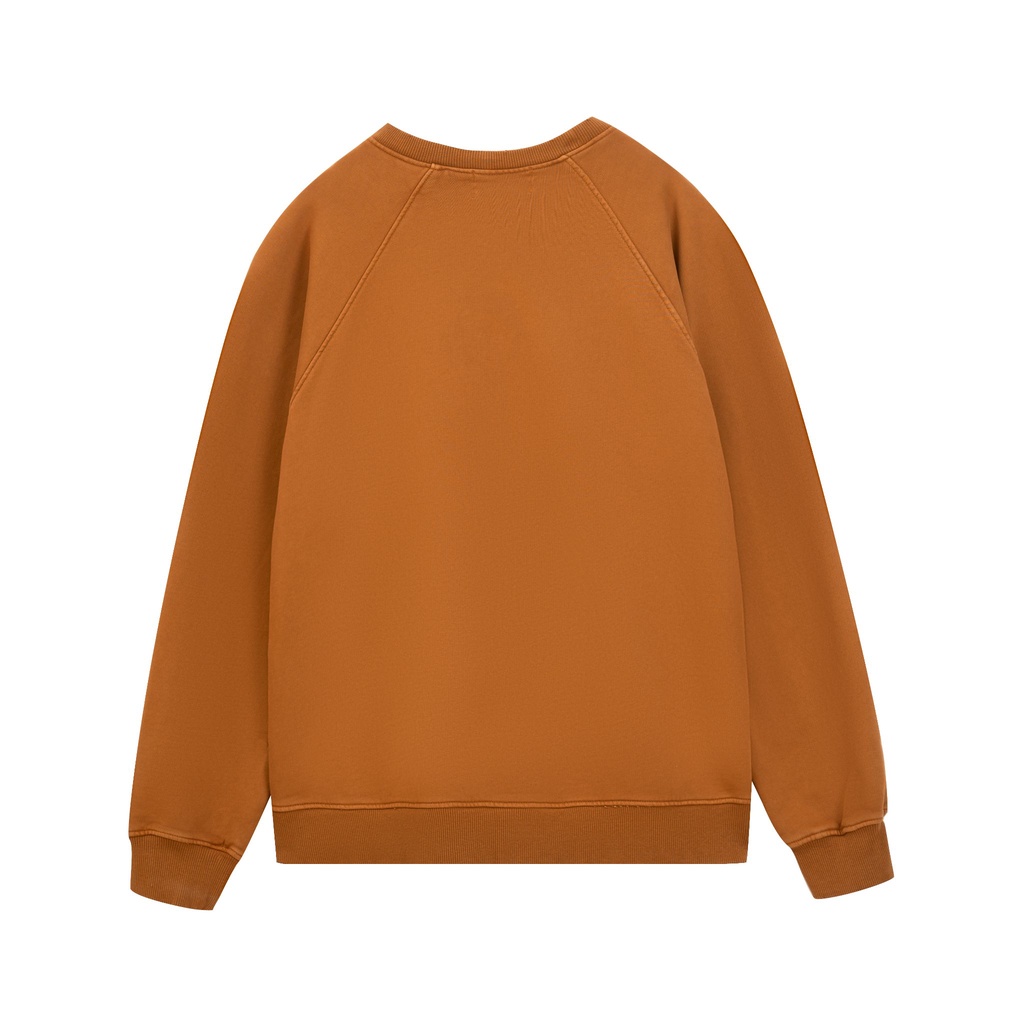 Áo nỉ dài tay WASHED HOOD BLANK - YOUNG GREEN