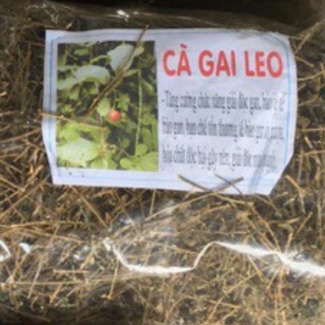 Trà cà gai leo 1kg