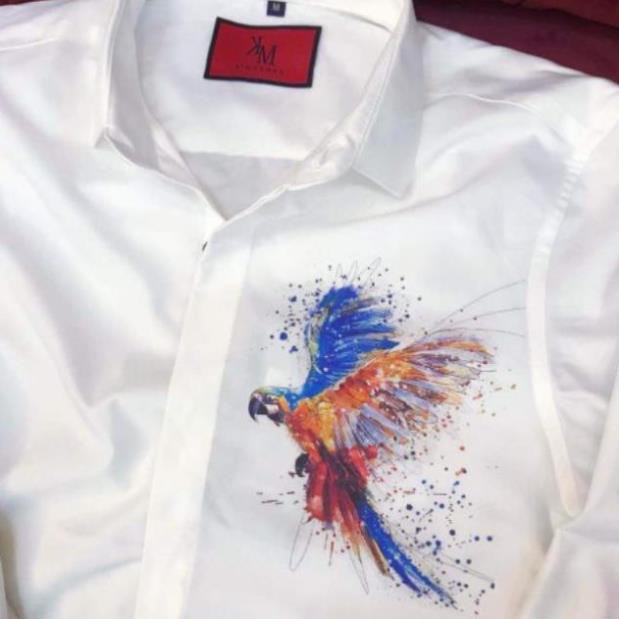 Áo sơ mi kate lụa Hot rần rần làm khuynh đảo giới trẻ siêu sang việt