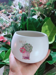 Chậu Trồng Cây