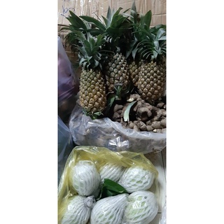 Thơm khóm tươi trái to ngọt giao liền 1-2hTphcm