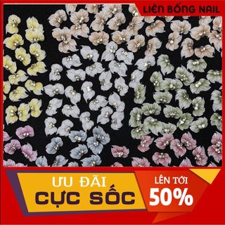 Hoa bột nail góc - móng ngắn