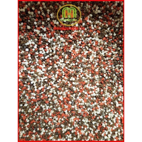 Phân 3 màu phân NPK đầu trâu 20-20-15 gói 1kg ra hoa đậu trái