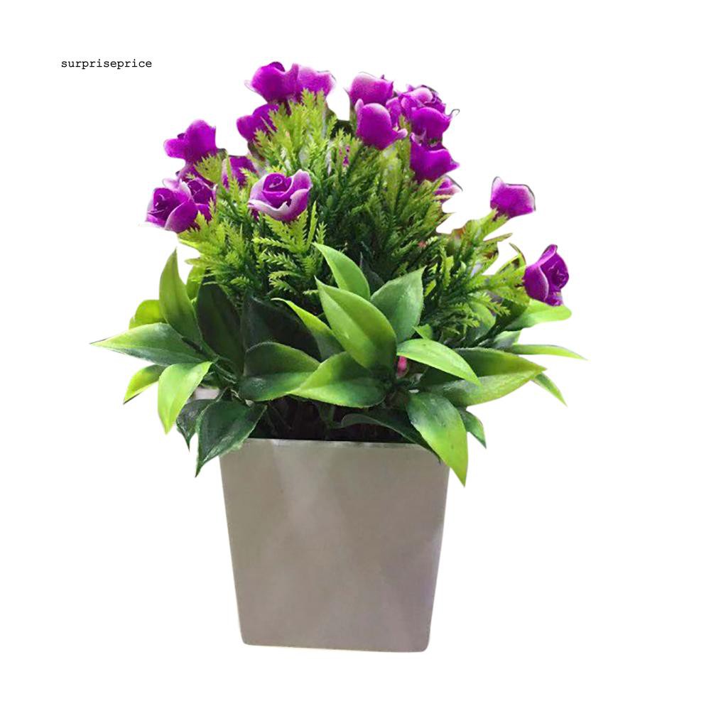 1 chậu hoa bonsai nhân tạo trang trí sân vườn/nhà ở/văn phòng DIY