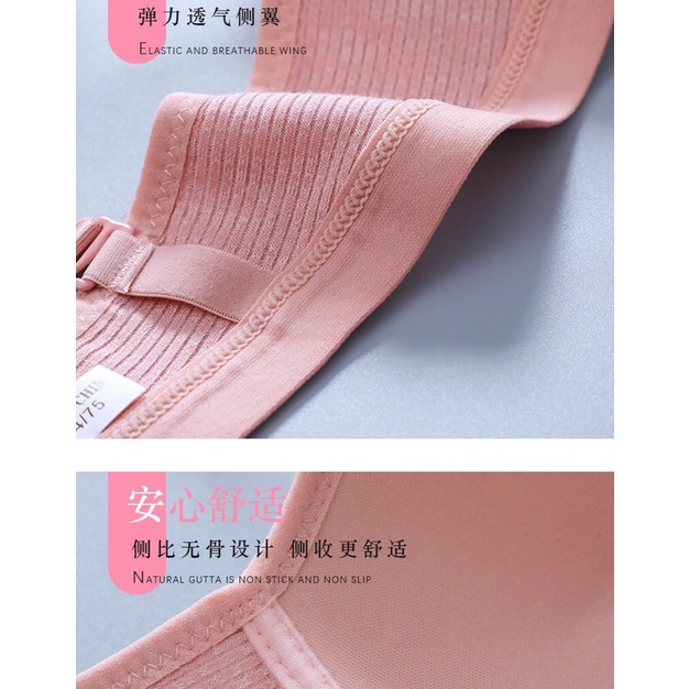 Áo lót ngực nữ sinh cotton cao cấp dây lưng bản to 3 móc chắc chắn 163