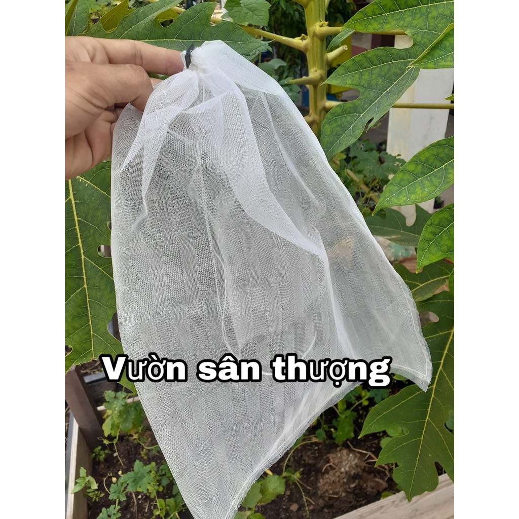 [ 1 Cái] Túi Bao Trái, Hoa Qủa Tránh Côn Trùng Lỗ Nhỏ Thoáng 30* 35 cm Phù Hợp Hầu Hết Các Loại Từ Bưởi, Khổ Qua,..,