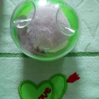 Hộp bông chặm phấn bé