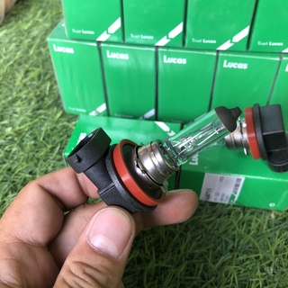 BÓNG ĐÈN GẦM CHÂN H11