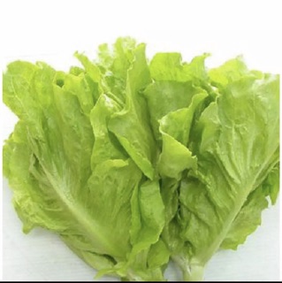 Hạt giống xà lách dún vàng