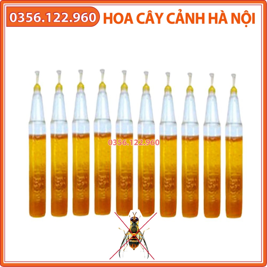 set 10 Ống chất dẫn dụ ruồi vàng đục trái 2ml