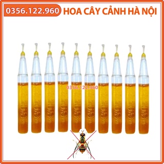 Set 10 Ống chất dẫn dụ ruồi vàng đục trái 2ml