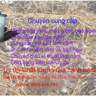 Meo giống nấm rơm [cơ chấc bằng thóc]