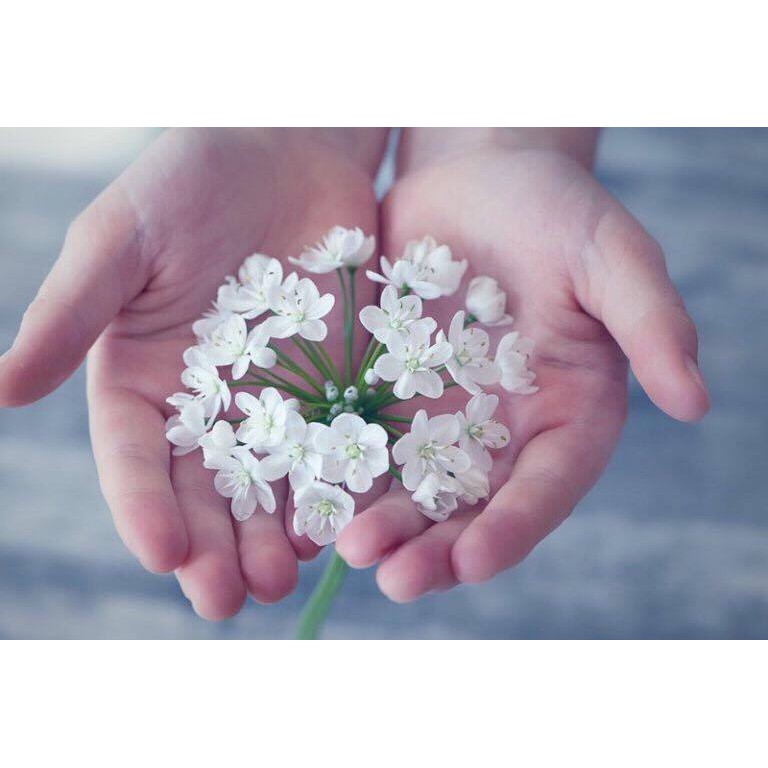 Dung Dịch Rửa Tay Green Cross Diệt Khuẩn, Khử Trùng Siêu Sạch | BigBuy360 - bigbuy360.vn