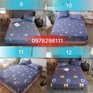 Ga chun trần bông co chống thấm