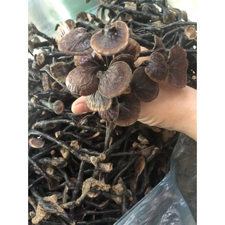 100gr nấm Linh Chi rừng ( thiên nhiên)